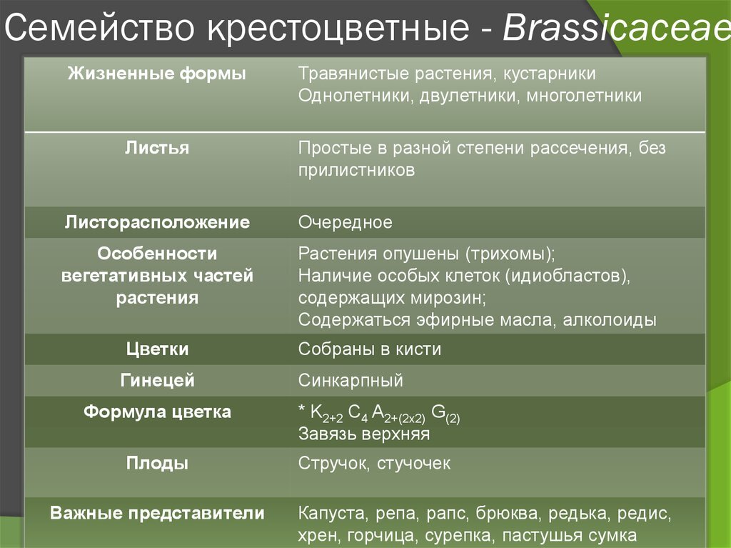 взято с простором интернета
