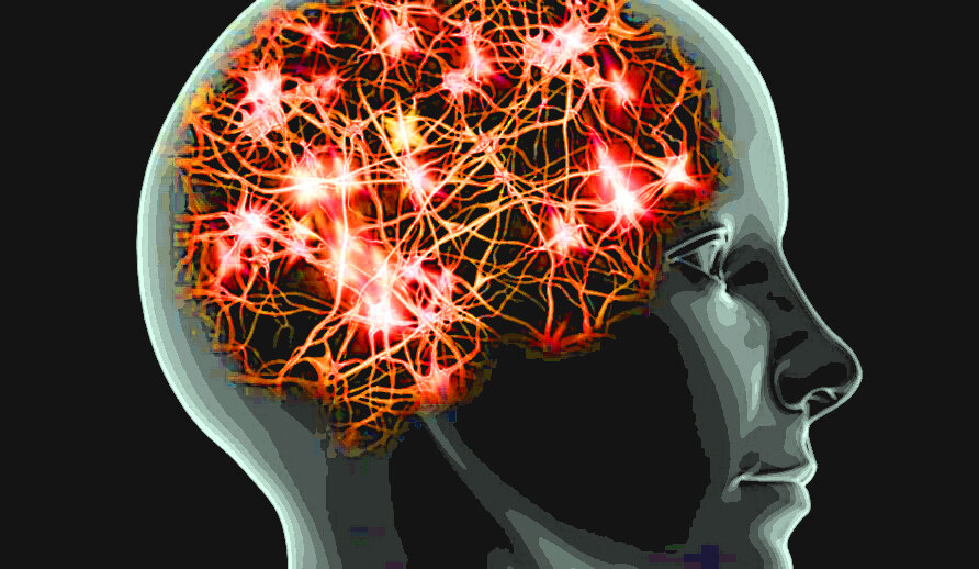 Фото взято из открытых источников сети Интернет