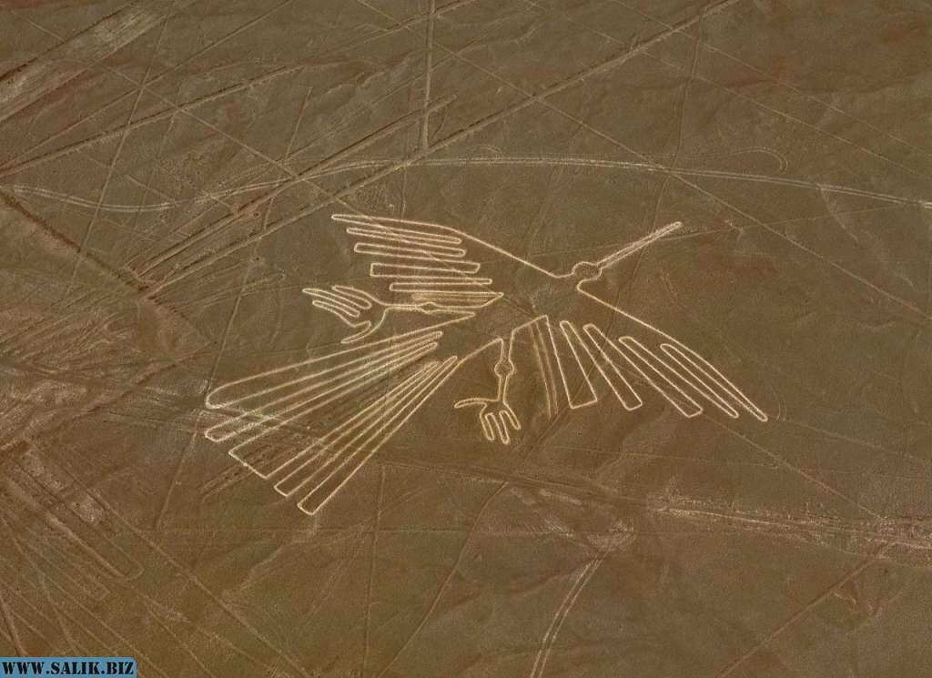 Один из самых красивых рисунков плато Наска в Перу. Таких рисунков по всему миру - сотни. 