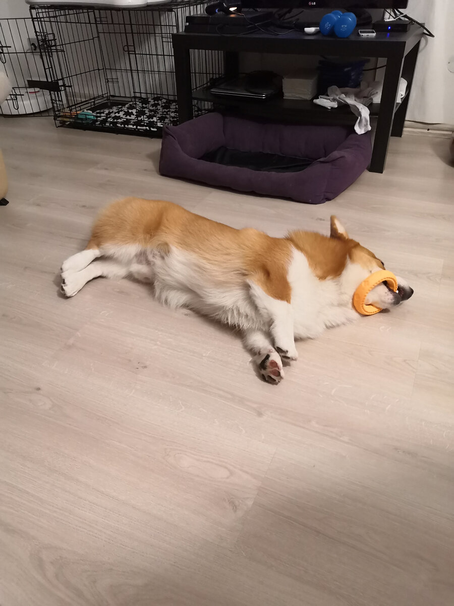 Разнообразие мерлиновских игрушек