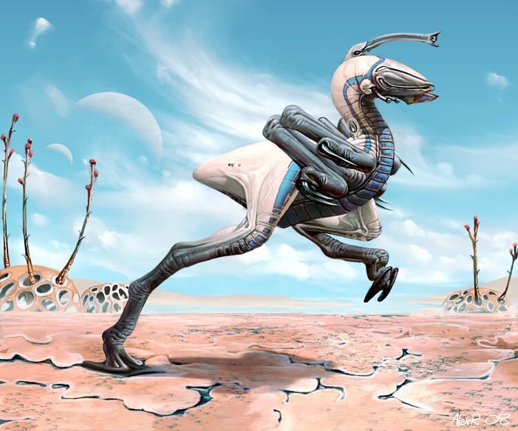 Изображение с сайта pinterest.ru