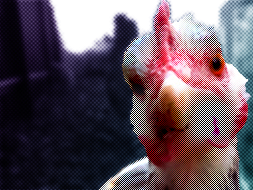 Птичку жалко!