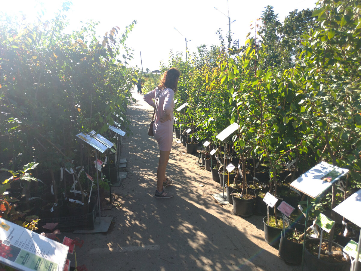 Приехали в садовый центр