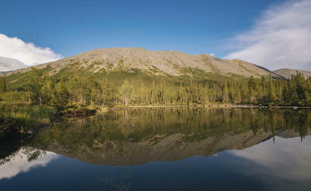 Хибины рыба