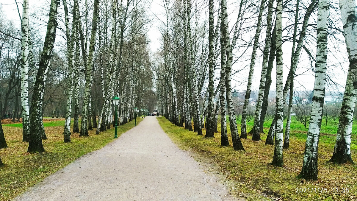 Прешпект (так называют центральную аллею усадьбы Толстого).