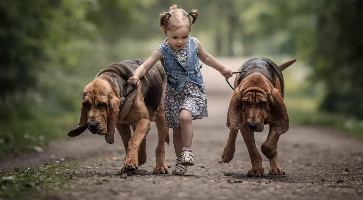 фотограф, вы отвернетесь на минуту, и что увидите потом