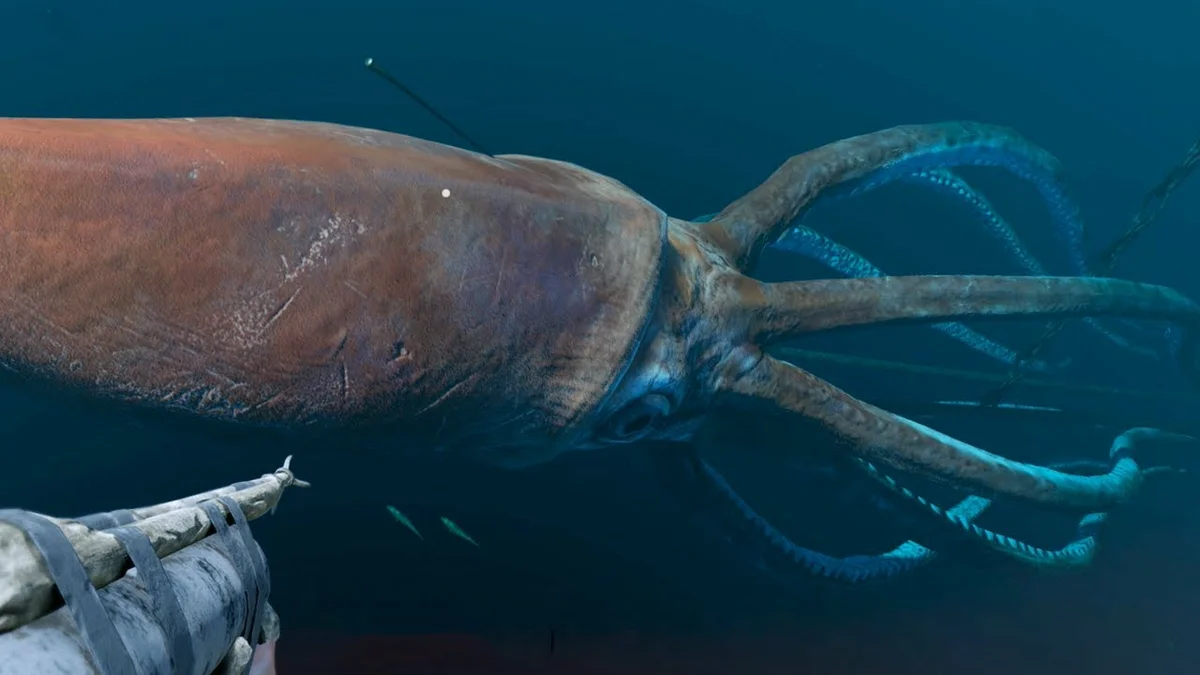 Глубоководный кальмар размеры