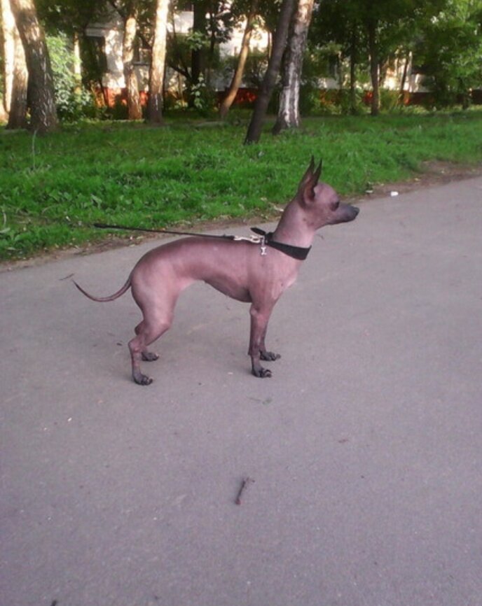 Фото автора: Вилья Корона... Она же Ляля.