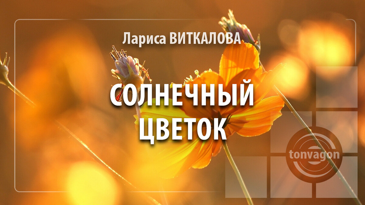 Стихотворение участвовало в конкурсе проекта ТОН-ВАГОН