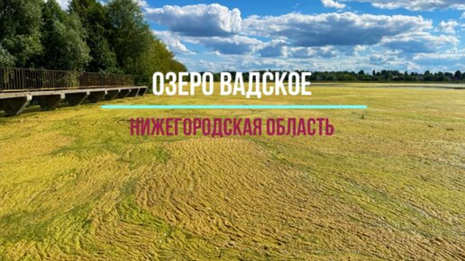 Растущее озеро Вадское. Нижегородская область