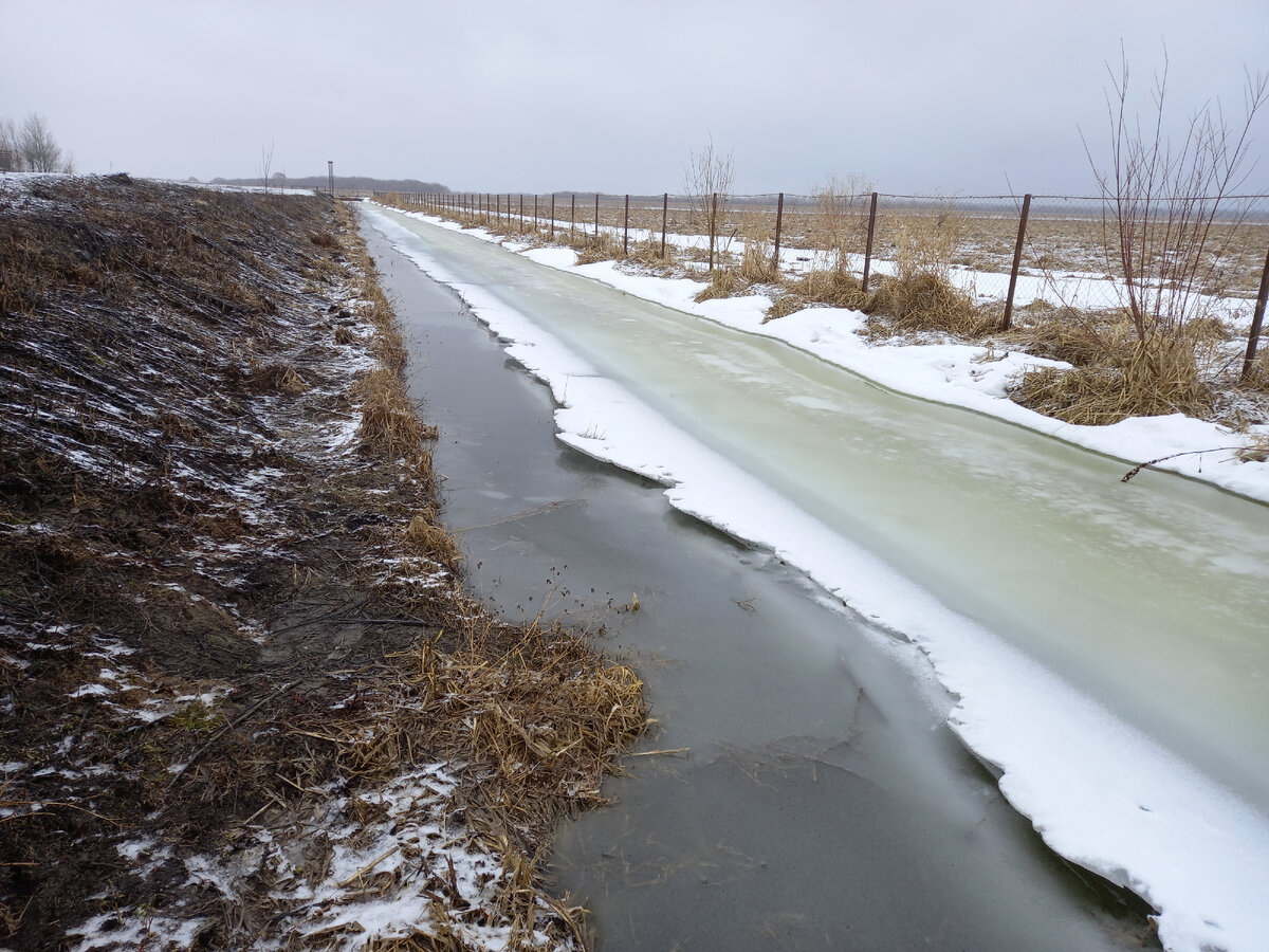 Как землеройка по воде пешком ходила | Антон Барановский | Дзен