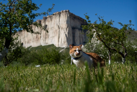 Сначала Белая скала, потом Эверест! 