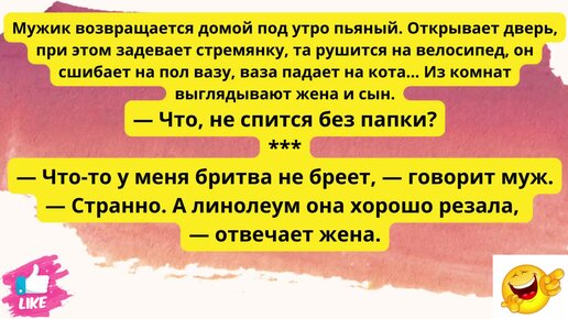 Сборник анекдотов трахтенберга. Трахтенберг анекдоты. Анекдоты от трахтенберга. Лучшие анекдоты трахтенберга.