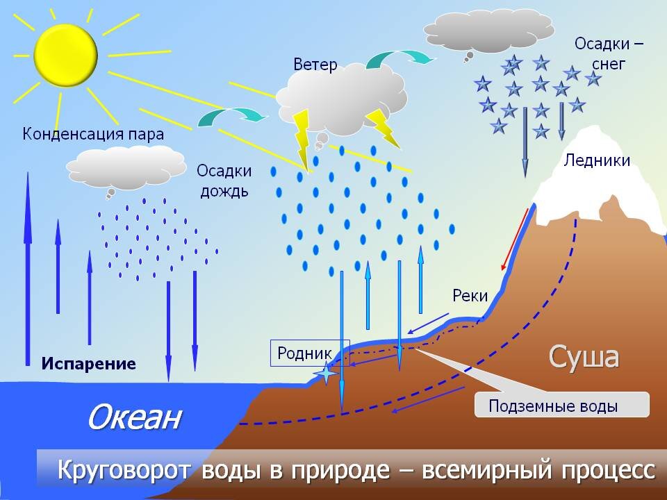 Значение воды в природе и жизни человека. Ее полезные свойства