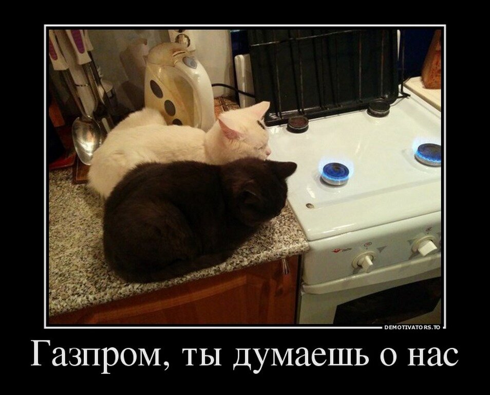 Яндекс.картинки, свободный доступ