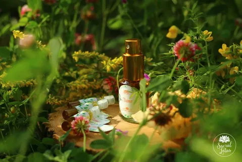 Фото из общедоступных источников