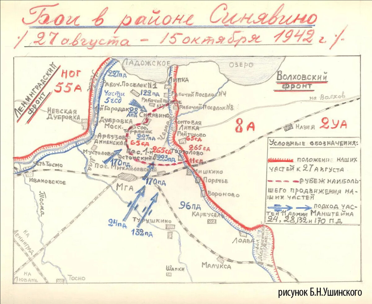 Волховский фронт в 1941 1942 гг карта