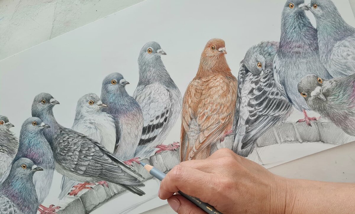 Художник Таша Габеева. Работа цветными карандашами. Листайте галерею.