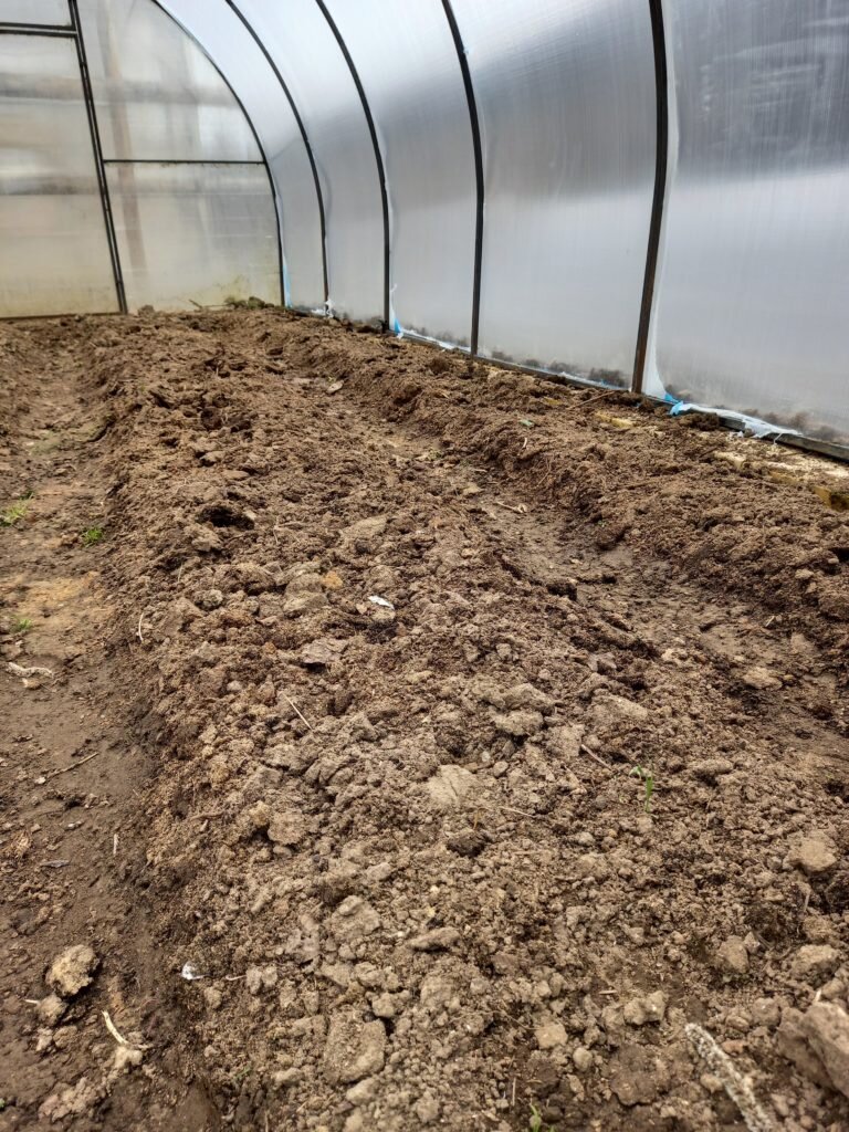 Обработка теплицы