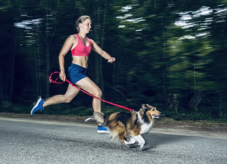 Устраивайте поисковые игры