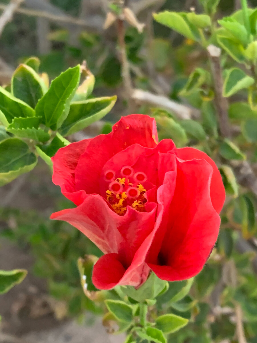 Отдохнуть глазам от экранов компьютера поможет прекрасная природа Египта