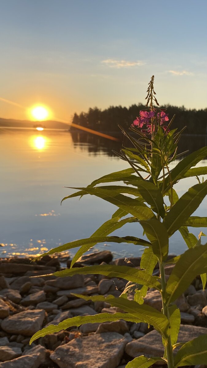 Озеро Увильды. Закат. Лето 2022