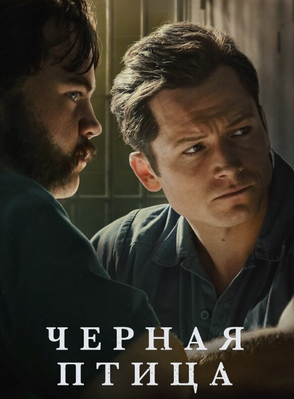 Сериал «Черная птица»