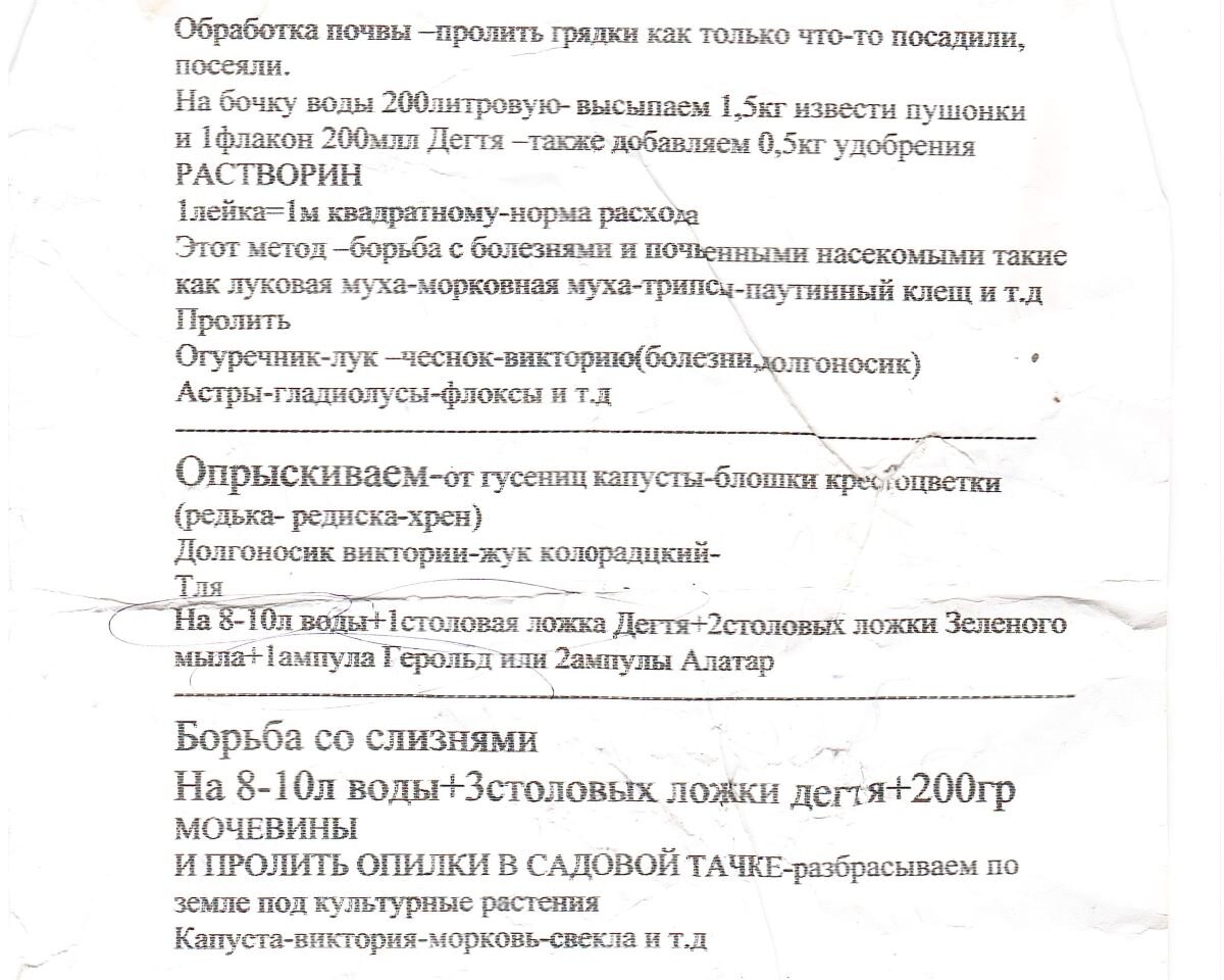 Деготь березовый: применение в саду и от чего лучше воздержаться |  Валентина Ласкина и ласковый сад | Дзен