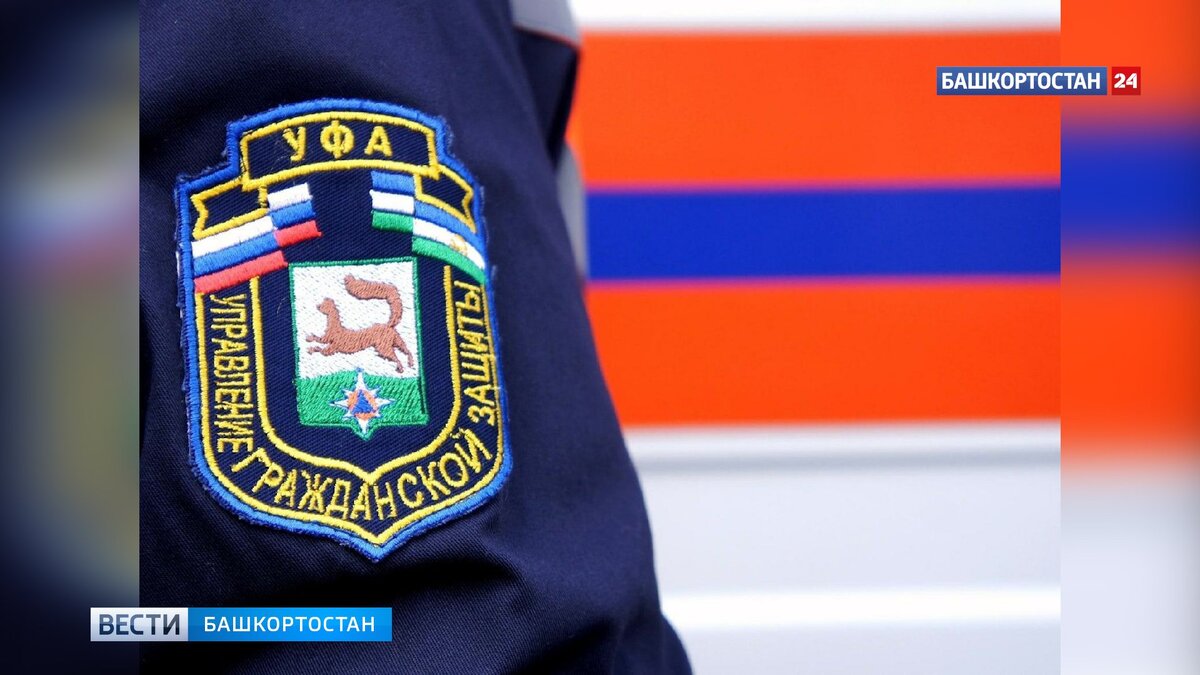    Под Уфой спасатели освободили цаплю, запутавшуюся в сетях