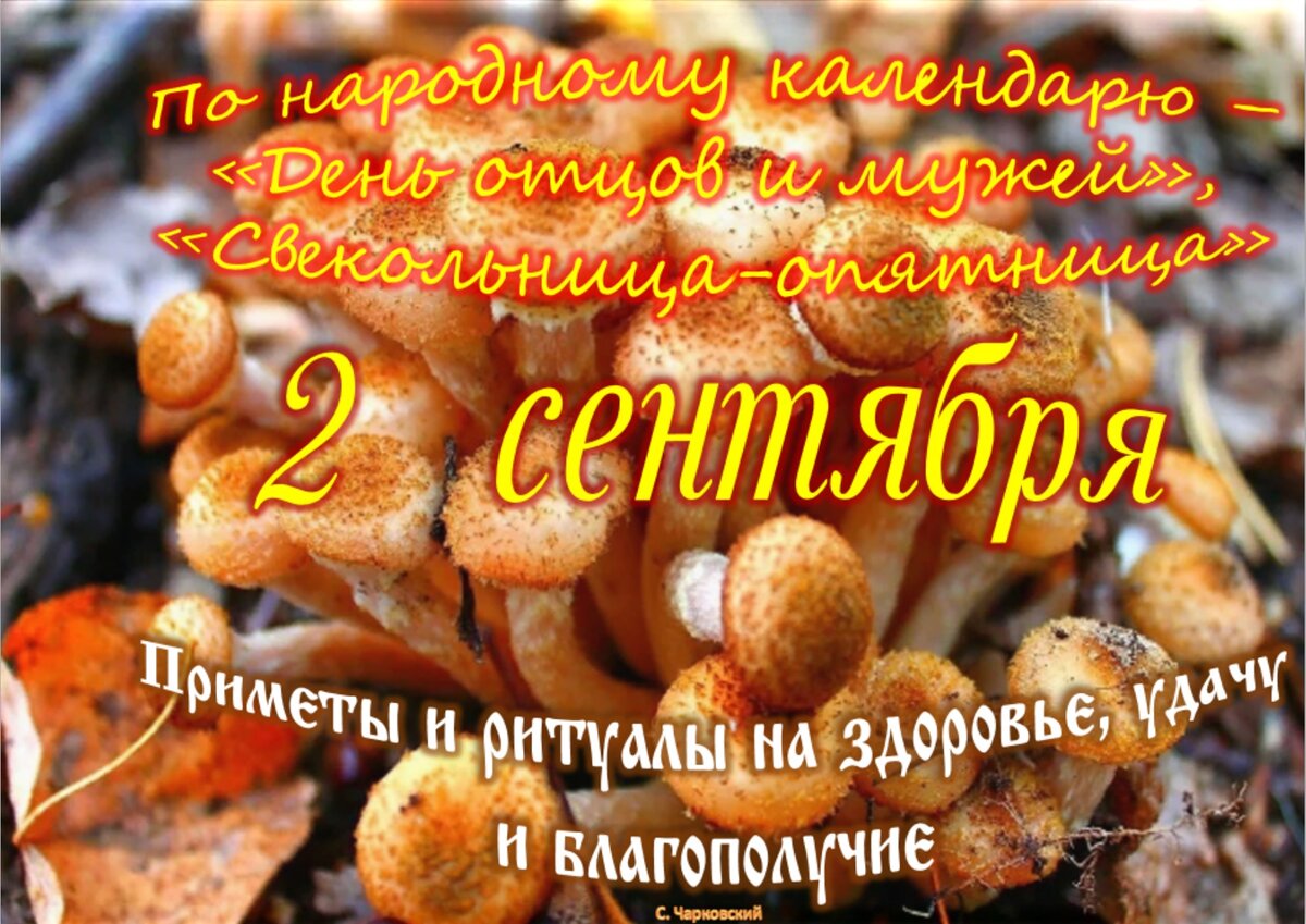 Приметы на 2 мая 2024 г. Приметы на 2 мая 2024 г. Приметы на 2 мая 2024 г. Приметы на 2 мая 2024 г. Приметы на 2 мая 2024 г.