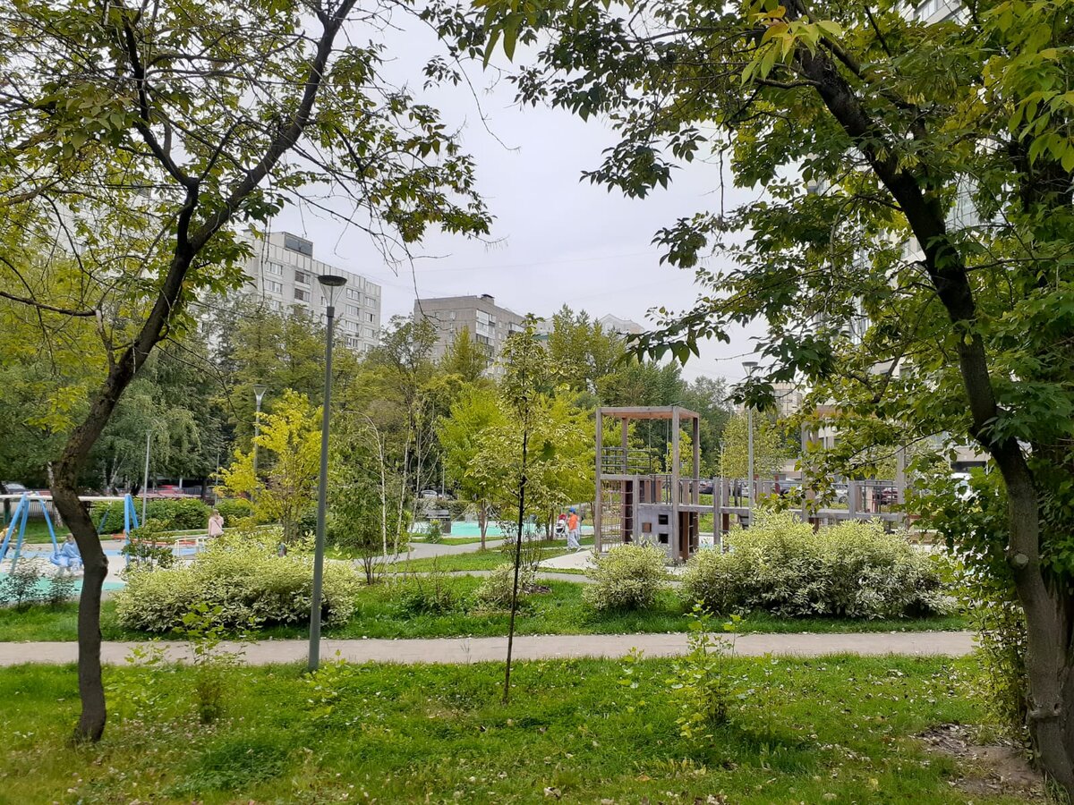 Ладно бы в псих-диспансер, просто бы погуляли, прошлись...