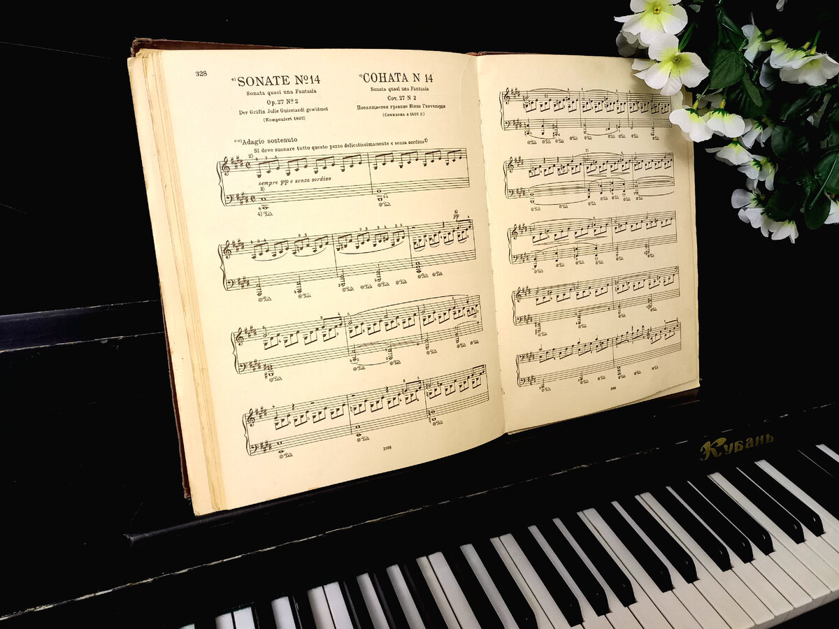 Та самая 14 соната Бетховена, "Лунная"