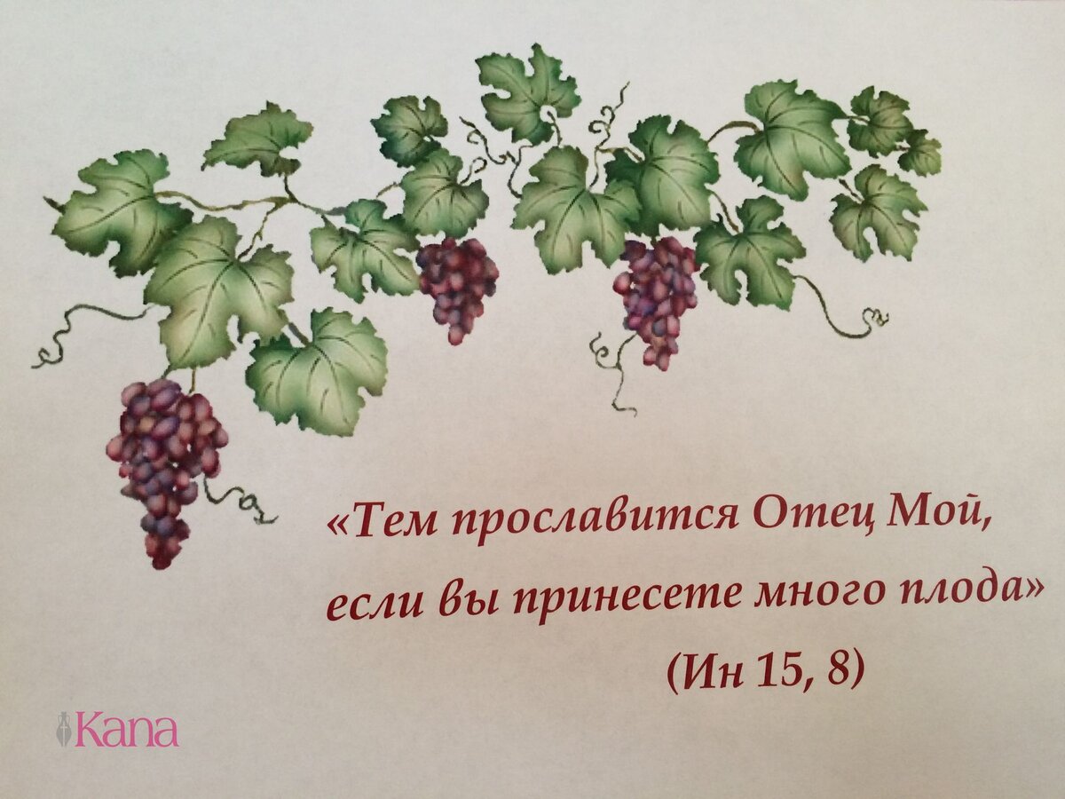 Источник: Яндекс. Картинки