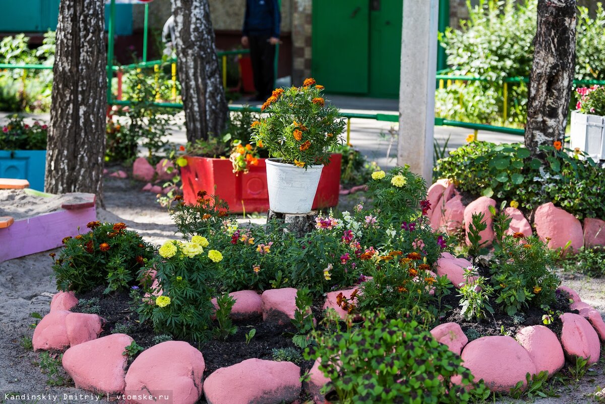 Фото Дмитрия кандинского.