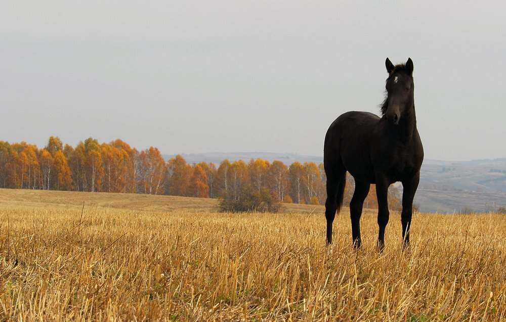 фото Закира Умарова