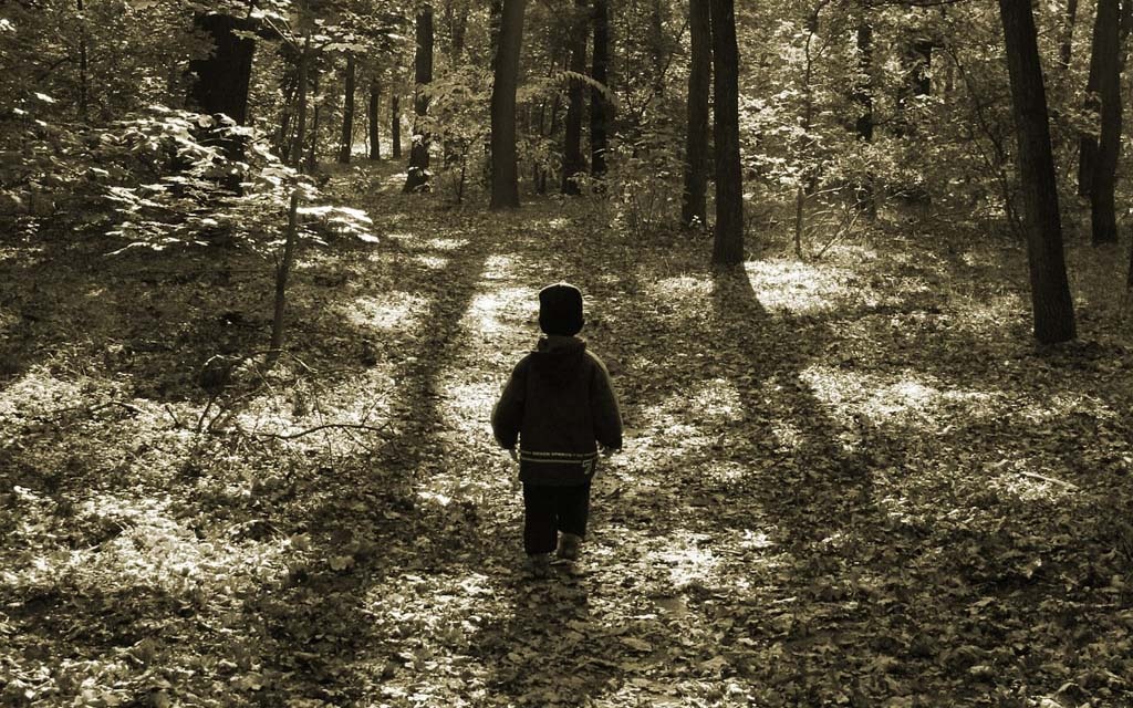 Источник: https://www.farmanddairy.com