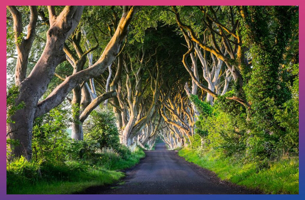 Северная Ирландия. Локация, известная фанатам сериала как Королевский Тракт.