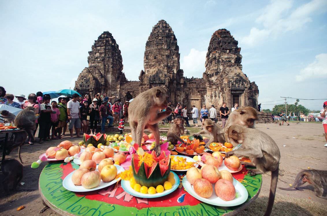 Так чествуют обезьян в Индии.