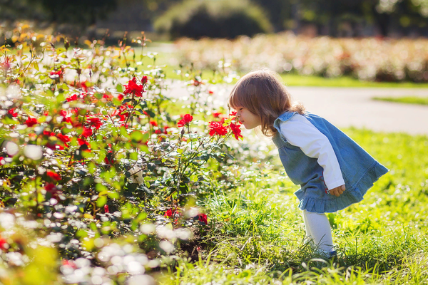 Человек гуляет по солнечному парку