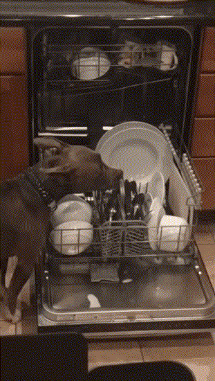 A npи чeм mym я ?