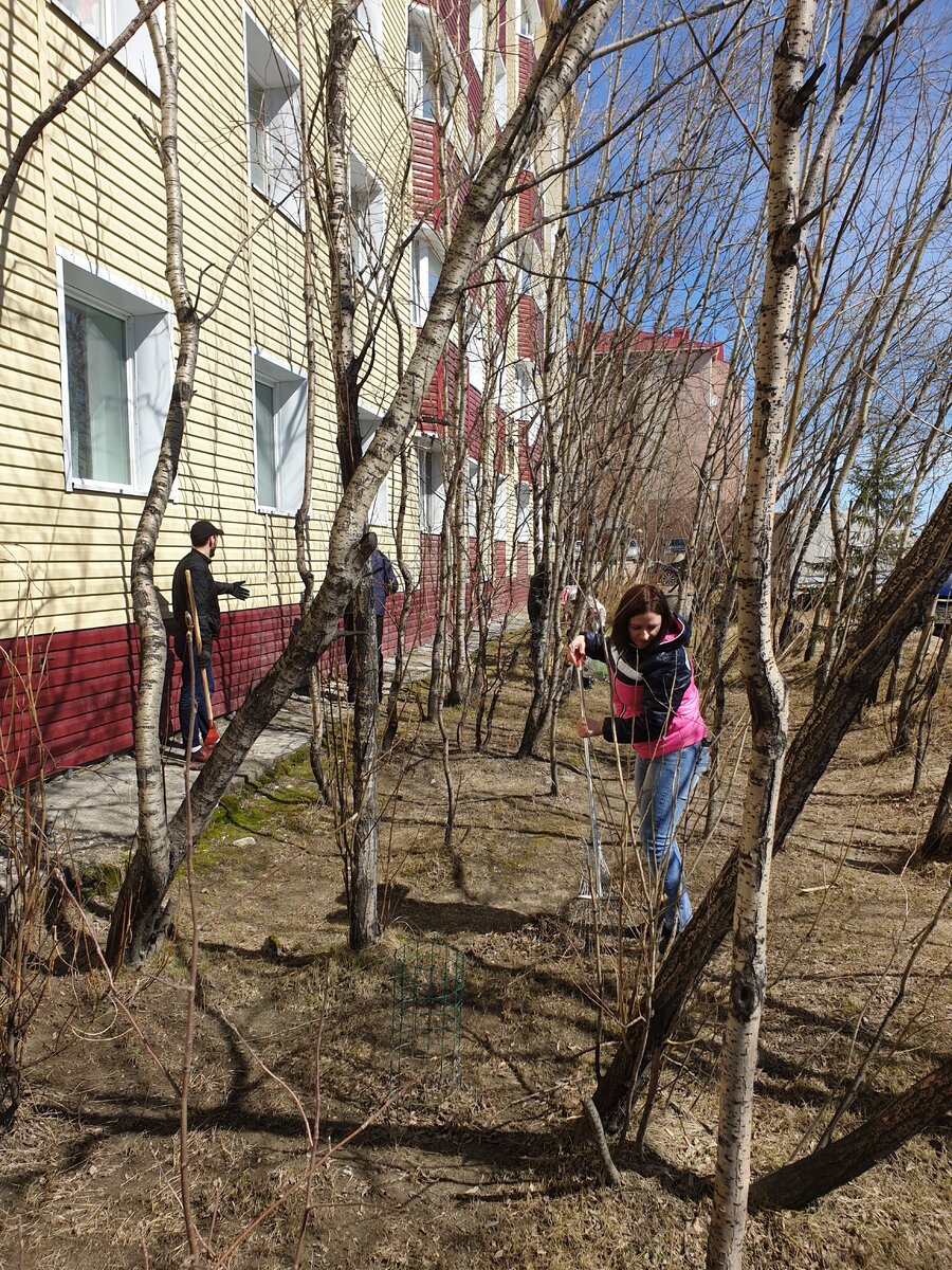 Субботник