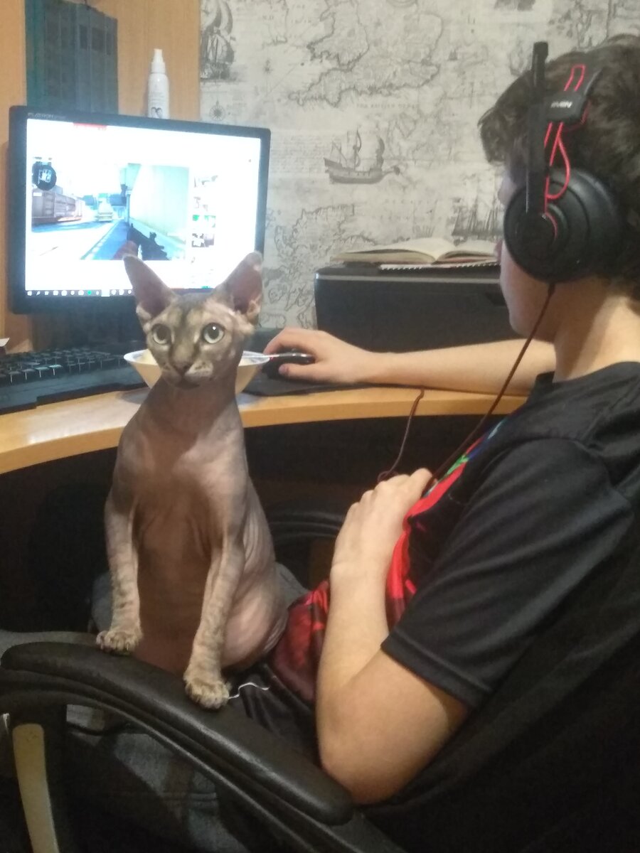 Фото автора, Марсик