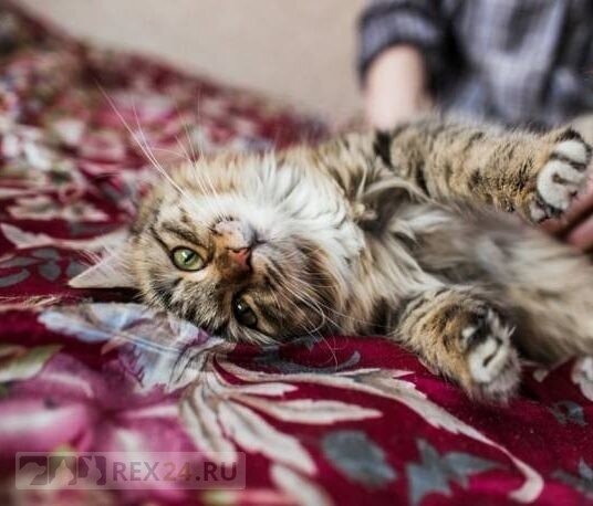 Фото: соцсети