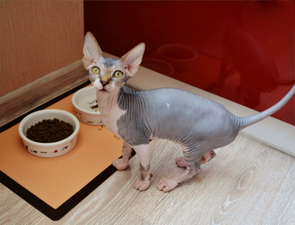 1. Проблемы с кожей