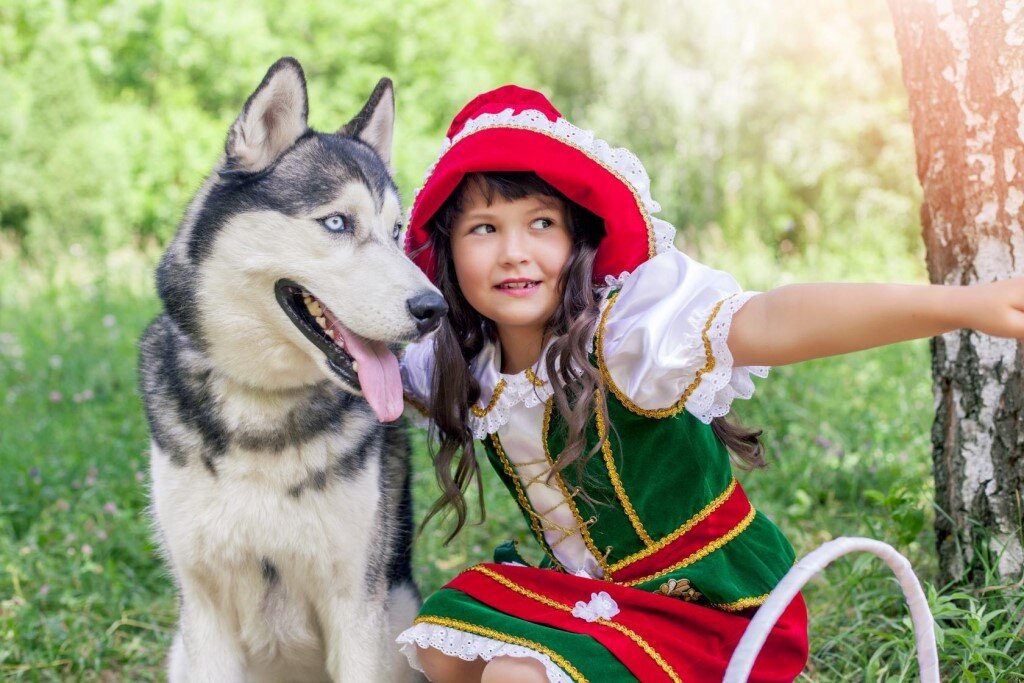 Фото из свободных источников.  