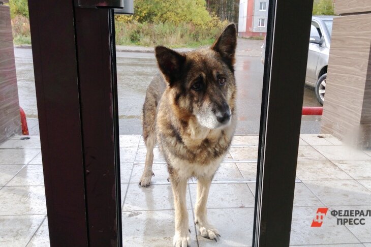  Фото: Елена Майорова