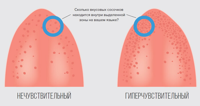 Чувствительность языка