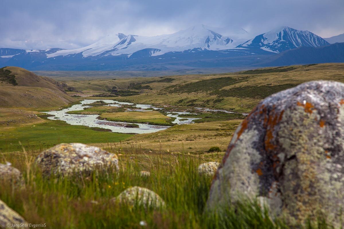 Плато Укок горный Алтай фото