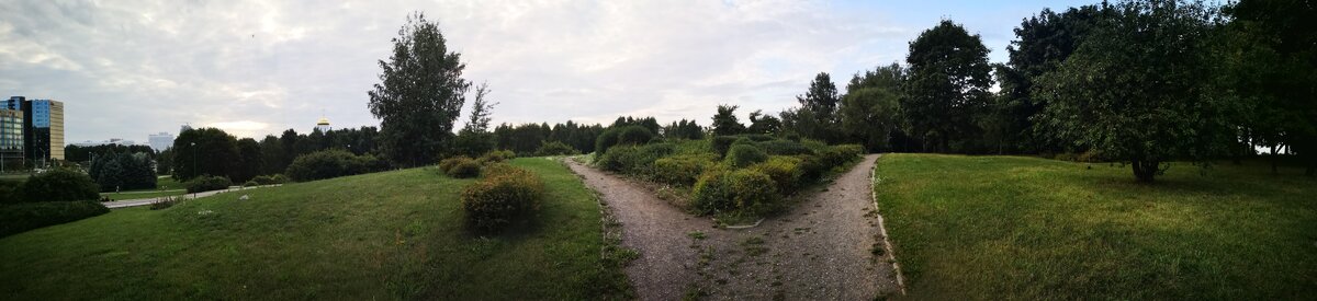 Вот панорамно это самое высокое место. За кустами и Место Силы по центру разветвления дорожек.