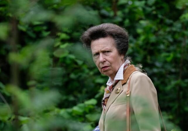 Выражение лица принцессы Анны говорит само за себя:)